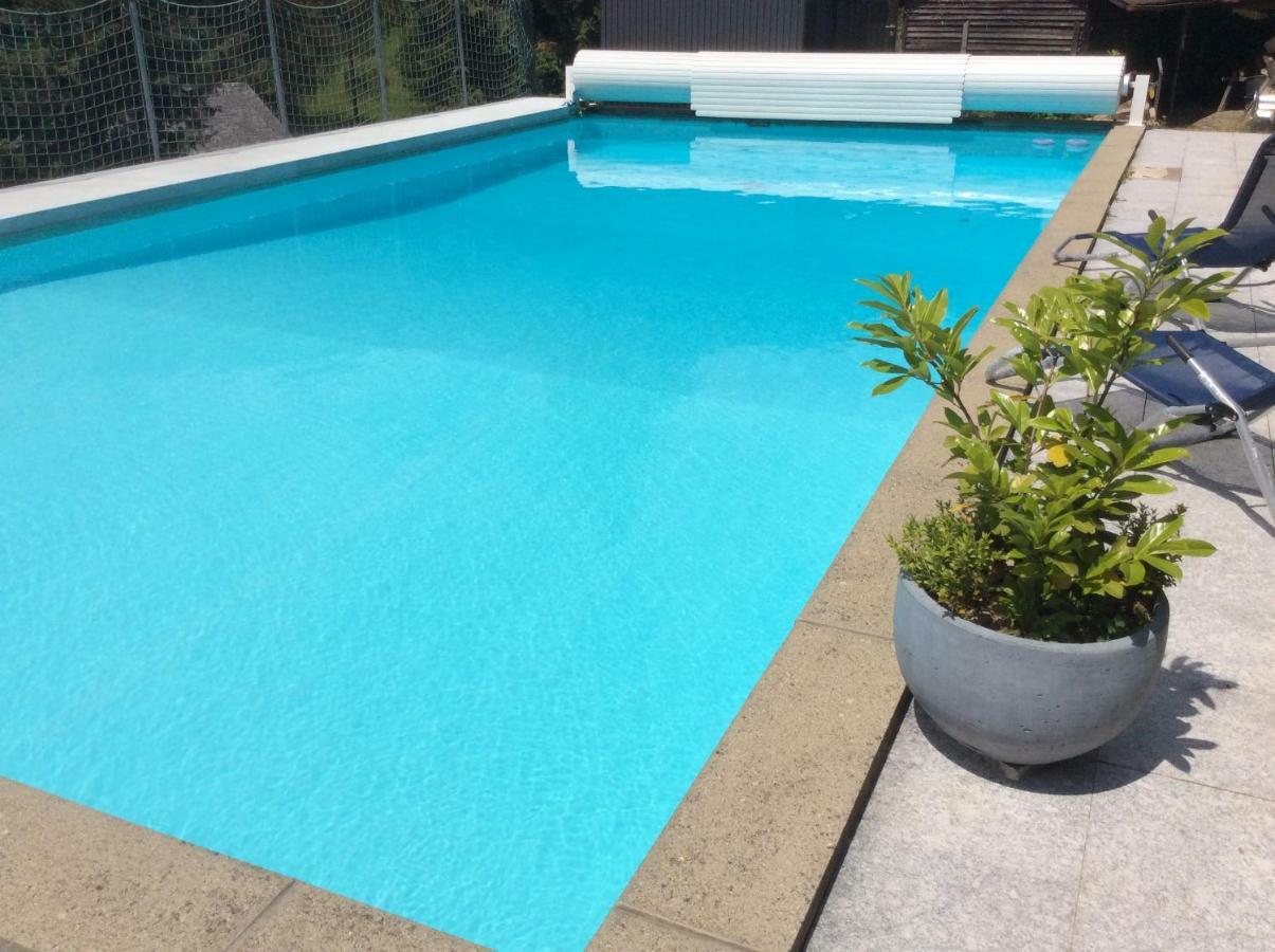 Traumhafte Ferienwohnung Mit Pool Steinen  Dış mekan fotoğraf
